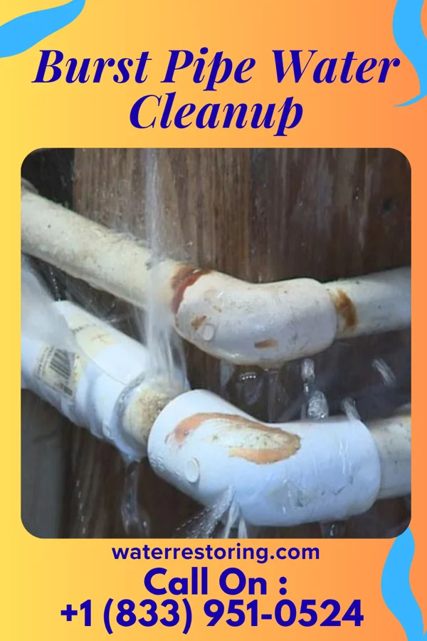 Burst Pipe Water Cleanup in Stallings, NC